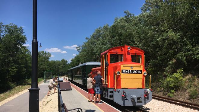 Der Zug, der in Felcsut vom Stadion in den Wald fährt.