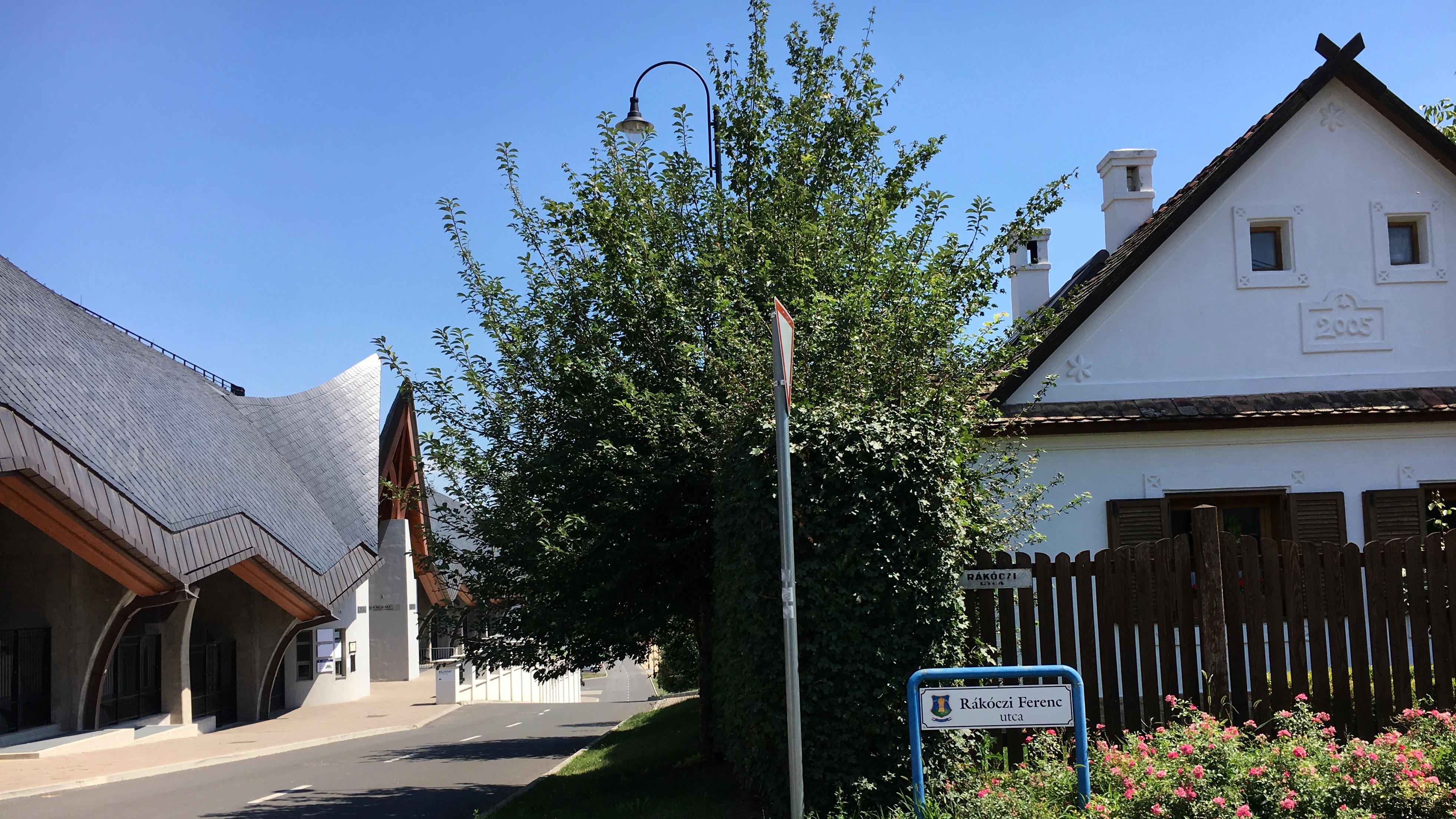 Von seinem Sommerhaus (rechts) hat Viktor Orbàn es nicht weit bis zum Stadion.