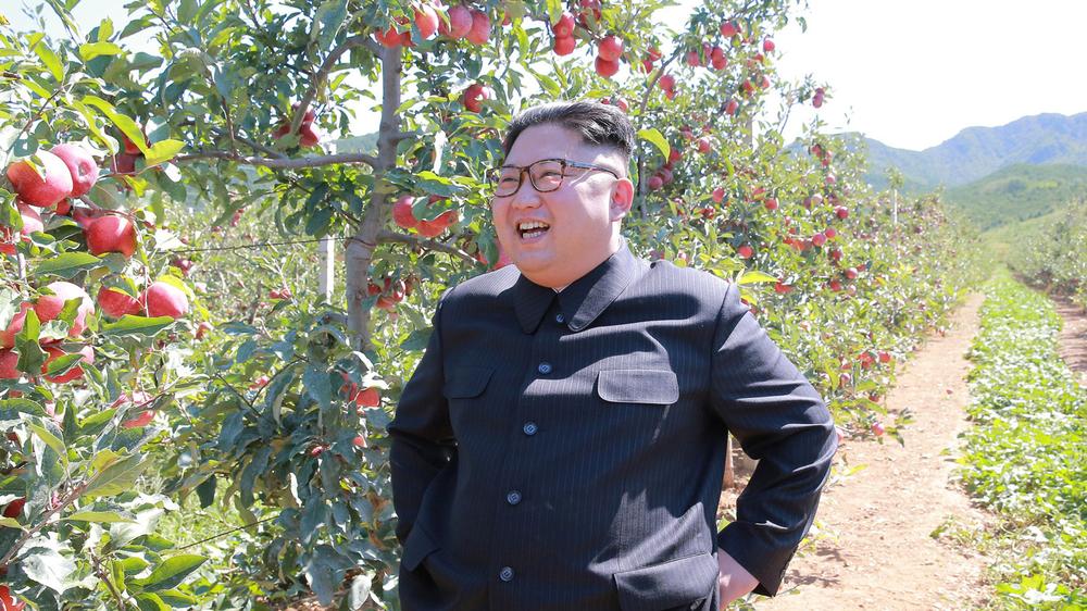 Nordkorea: Hat erstmals den US-Präsidenten direkt angesprochen: Kim Jong Un, Staatschef von Nordkorea (ein Foto der staatlichen Nachrichtenagentur Nordkoreas)