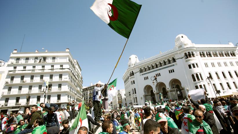 Algerien: Protestierende in der algerischen Hauptstadt Algier