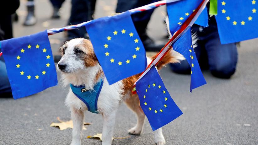 Brexit EU Abstimmung Verschiebung FAQ