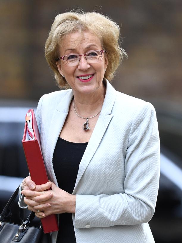 Großbritannien: Sie wollen Theresa Mays Job