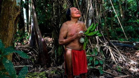 Abholzung Des Amazonas Mission Kettensage Zeit Online