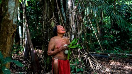 Abholzung Des Amazonas Mission Kettensage Zeit Online