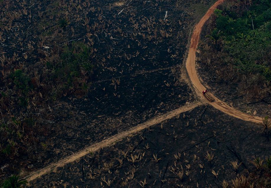 Amazonas-Regenwald: Zu lange ignoriert | ZEIT ONLINE