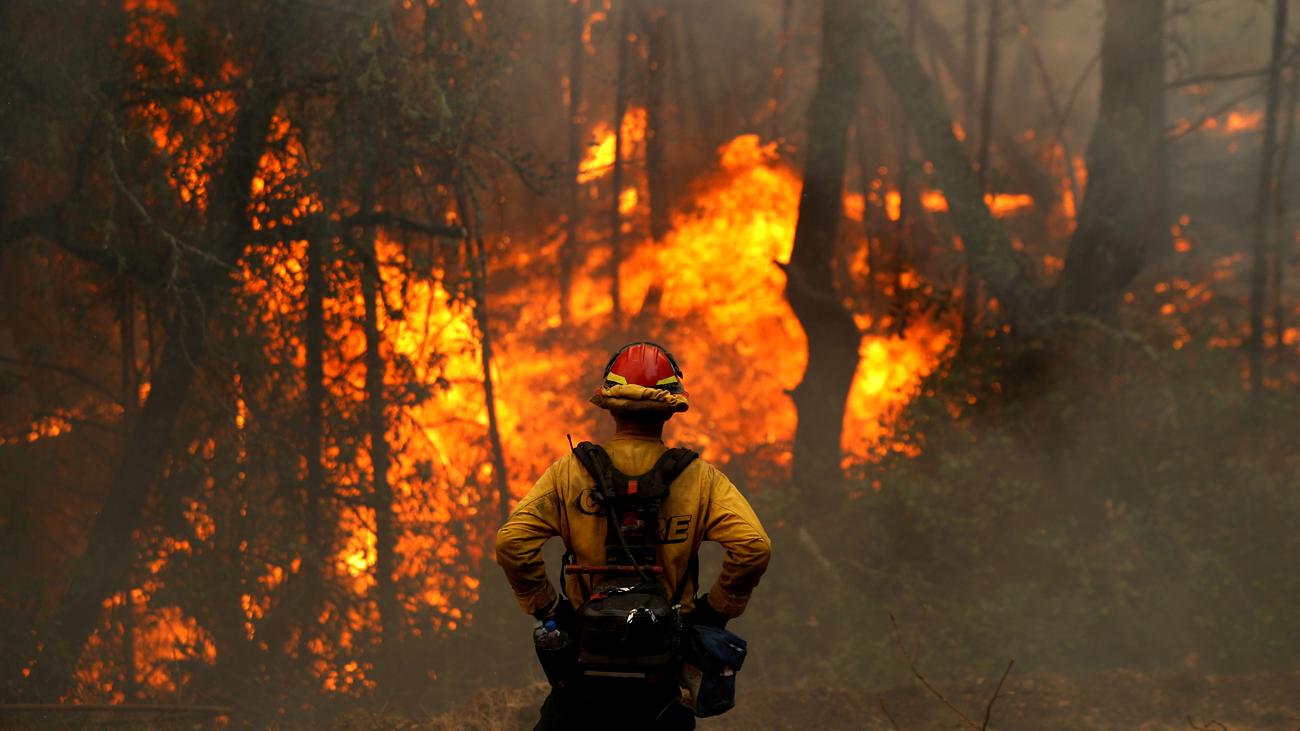 Waldbrande In Kalifornien Wir Gehen Nur Noch Vom Schlimmsten Aus Zeit Online