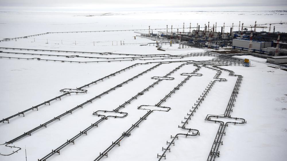 Wladimir Putin Gaspreise Russland