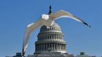 Washington: US-Kongress stimmt für Übergangshaushalt thumbnail
