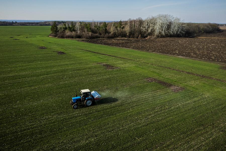 wann rasen dngen mit unkrautvernichter Dnger mit Unkrautvernichter (250 m)  turbogrn