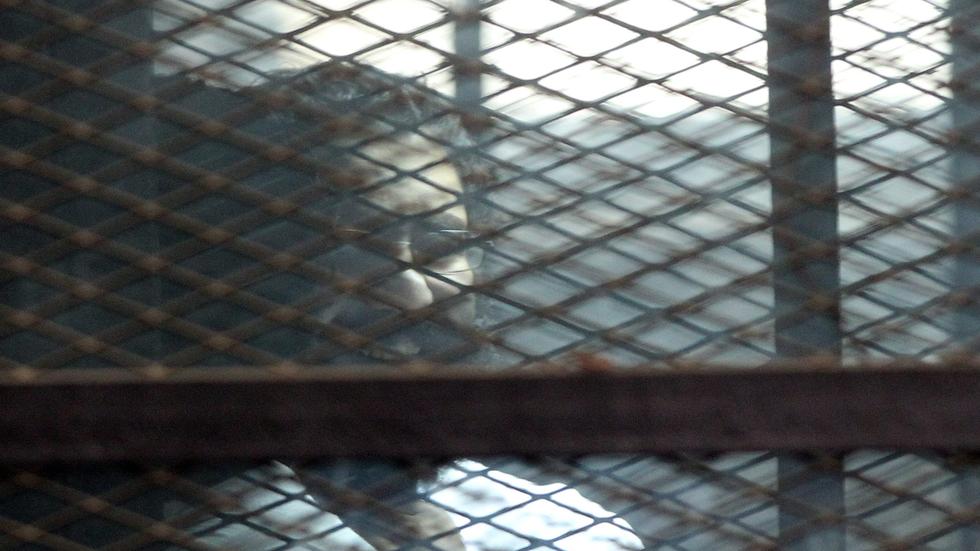 Alaa Abdel Fattah Gesundheit von Aktivist Fattah laut Familie