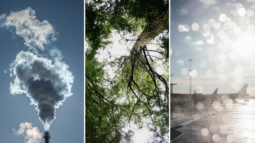 CO₂-Zertifikate: Grün getarnt