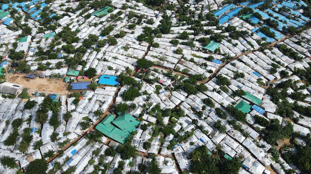 Qizlar, mushukning ichida nima bor?