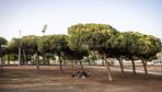 Wassermangel in Spanien: Eine Stadt sitzt auf dem Trockenen