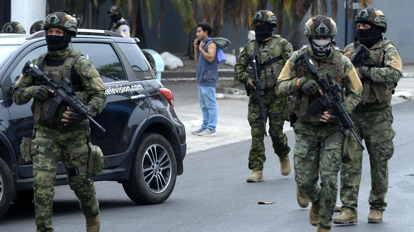 Für Belgien bestimmt: Polizei in Ecuador entdeckt 8,8 Tonnen Kokain