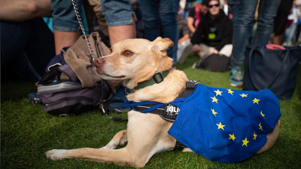 Brexit: Bei einem Treffen der Brexit-Gegner in London am Parliament Square, September 2023