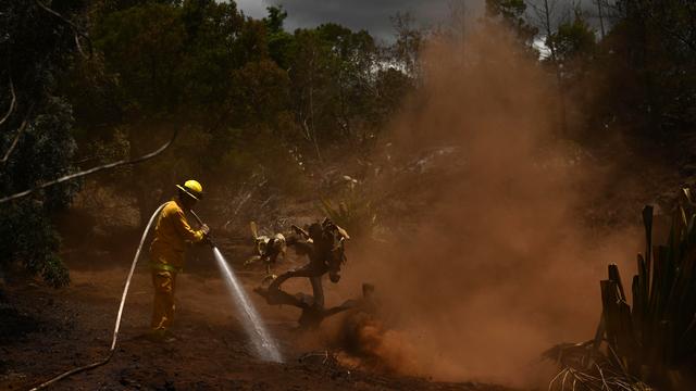 Waldbrände auf Maui: Mobilfunkkollaps erschwerte wohl Krisenmanagement auf Hawaii