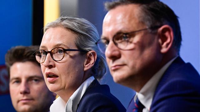 AfD im Europaparlament: Endet die AfD an der extremistischen Rechtsaußen-Flanke?