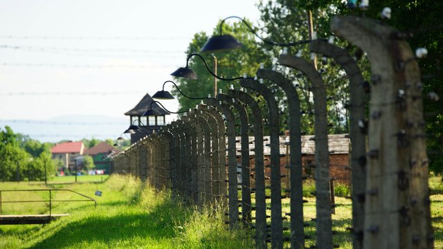 Holocaust-Gedenken: Bärbel Bas erinnert an von Nazis ermordete Sinti und Roma