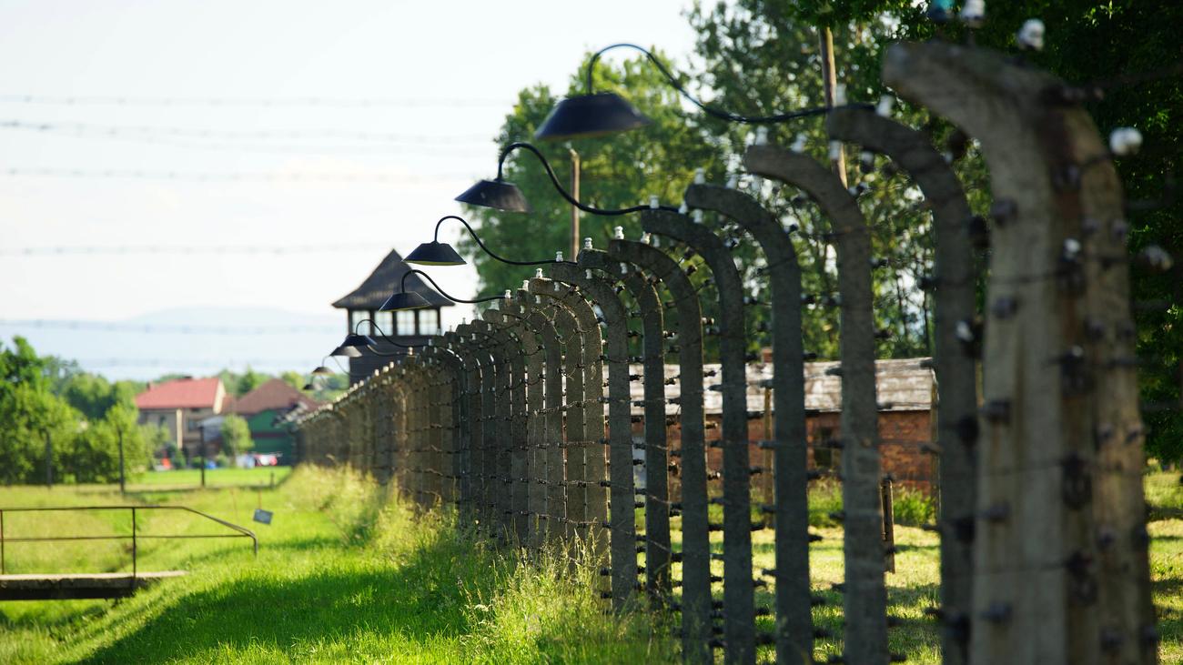 Holocaust-Gedenken: Bärbel Bas Erinnert An Von Nazis Ermordete Sinti ...