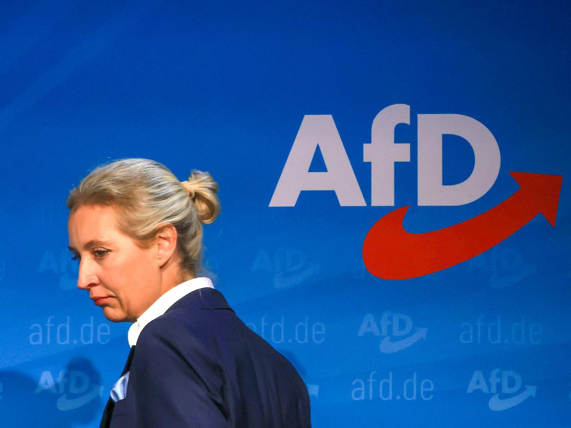 Bundestagswahl 2025: Alice Weidel soll AfD-Kanzlerkandidatin werden | DIE  ZEIT