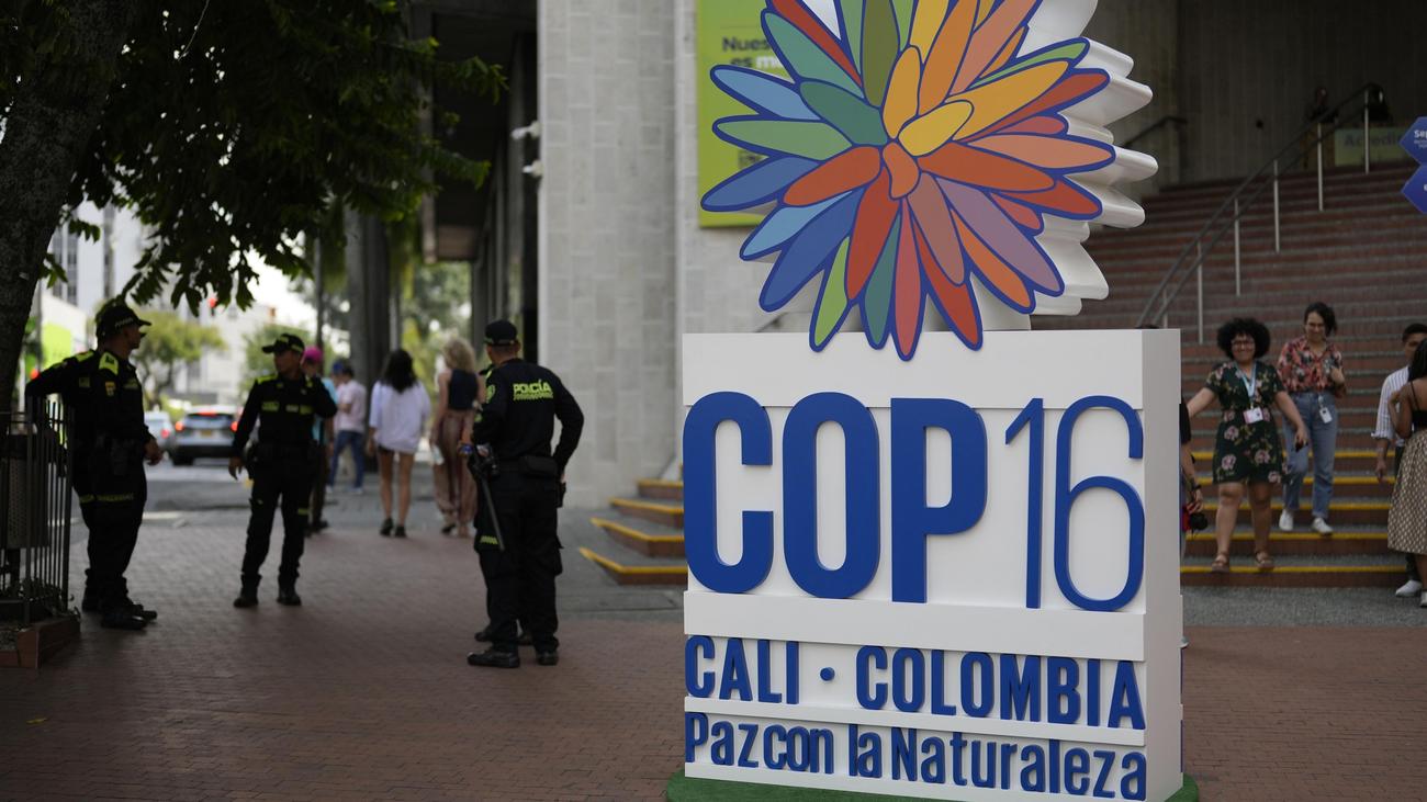 COP16 : Un groupe de guérilla mène des attaques après le début de la Conférence des Nations Unies sur les espèces menacées