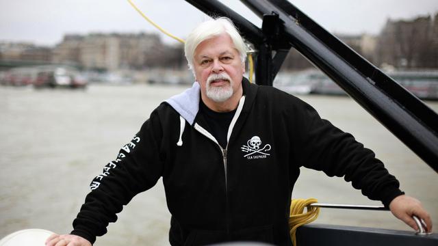 Tierschutz: Walfanggegner Paul Watson beantragt politisches Asyl in Frankreich