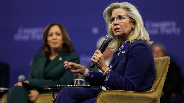 US-Wahlkampf: Liz Cheney warnt nach erneuter Attacke vor Donald Trump