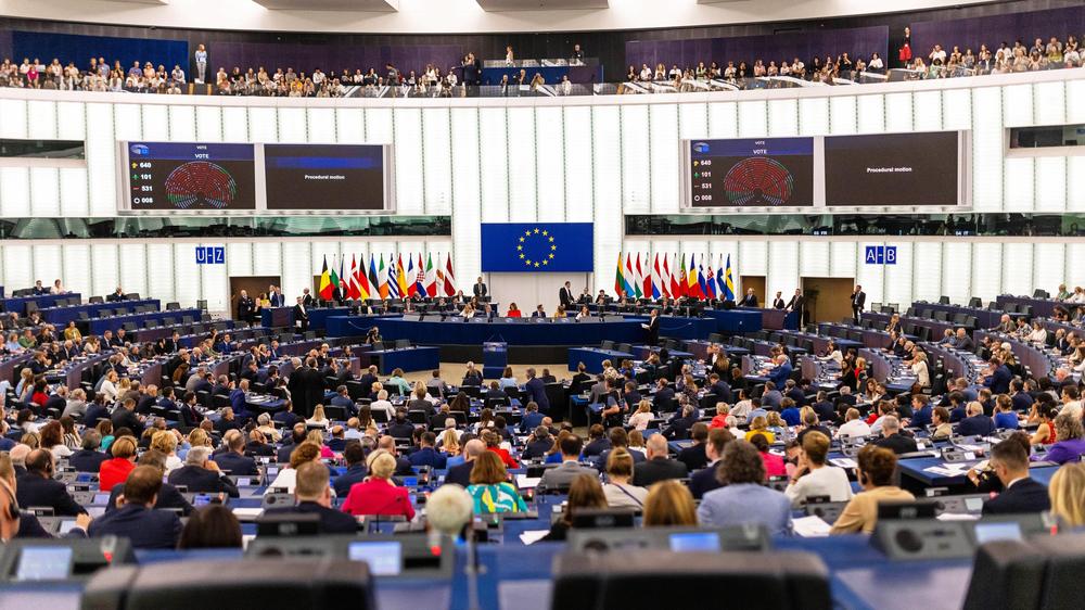  Abstimmung im Plenarsaal des Europäischen Parlaments