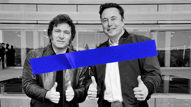 Carolin Amlinger: "Musk und Milei bilden ein Auffangbecken für politisch Heimatlose"