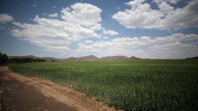 Landpolitik in Südafrika: USA sanktionieren Südafrika wegen Enteignungsgesetz