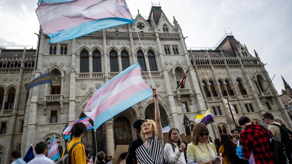  Menschen schwenken Transgender-Fahnen vor dem ungarischen Parlament während des "Trans Pride Marsches" in Budapest im Mai.