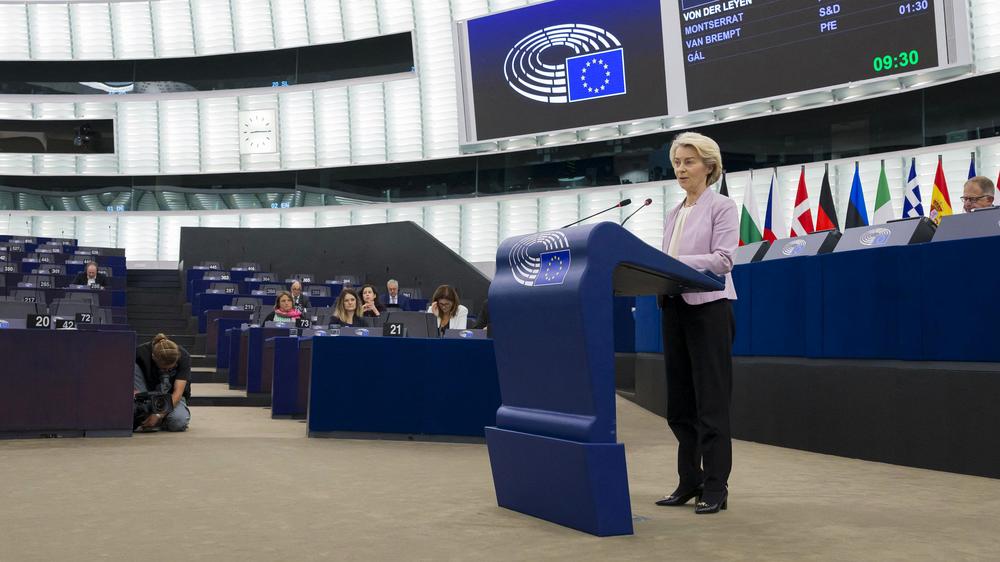 Ursula von der Leyen Misstrauensvotum