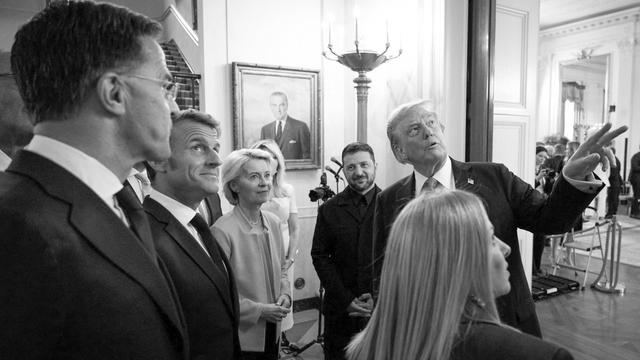 Gipfeltreffen in Washington, D. C.: Europa managt Donald Trump – für den Moment