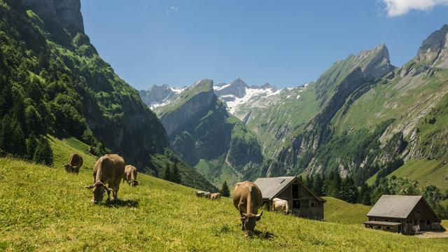 US-Zölle gegen die Schweiz: Pillen, Gold und der starke Franken