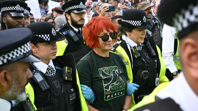 Propalästinensische Proteste: Erneut Hunderte Festnahmen bei propalästinensischem Protest in London