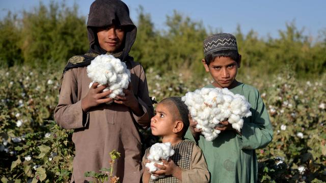 Europäische Union: EU einigt sich auf Abschwächung des Lieferkettengesetzes