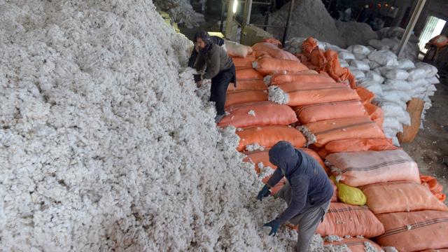 Europäische Union: EU einigt sich auf Abschwächung des Lieferkettengesetzes