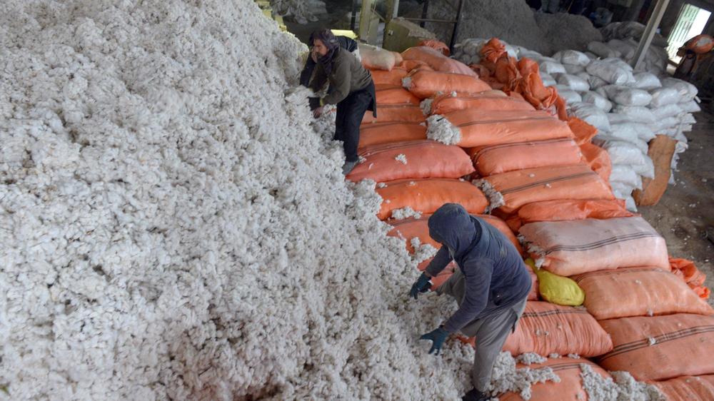  Mit dem Lieferkettengesetz sollen Unternehmen zur Rechenschaft gezogen werden können, wenn sie von Menschenrechtsverletzungen etwa durch Kinder- oder Zwangsarbeit profitieren.