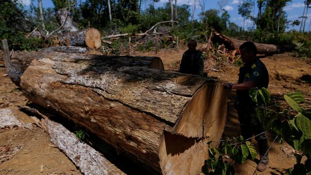 EU-Waldschutzgesetz: EU einigt sich auf Abschwächung und Verschiebung von Waldschutzgesetz