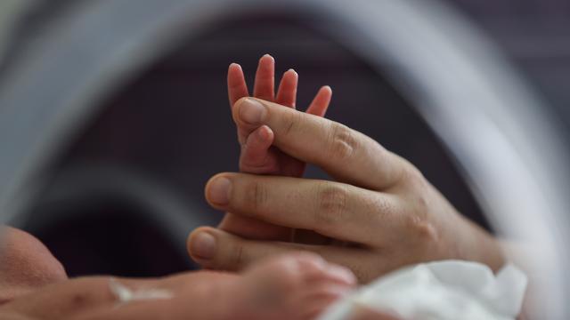 Leihmutterschaft in China: Der Irrsinn des Milliardärs Xu Bo