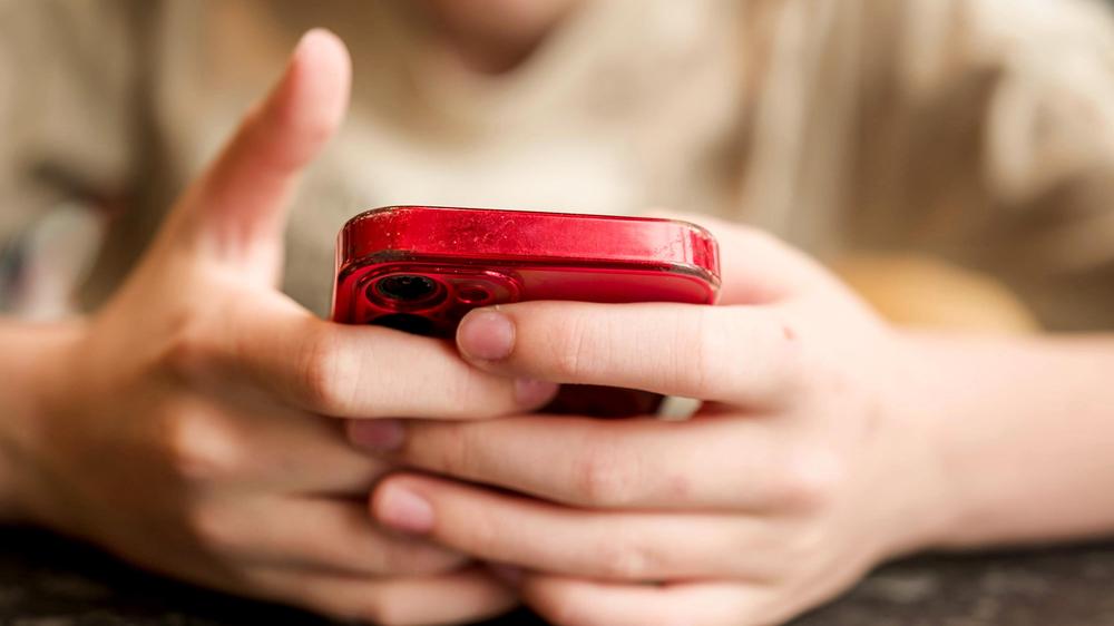  Die Regeln sollen Minderjährige vor den Risiken schützen, die mit der Nutzung sozialer Medien einhergehen.