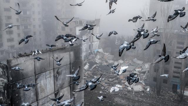 Ukraine-Krieg: Am Ende entscheidet die Front