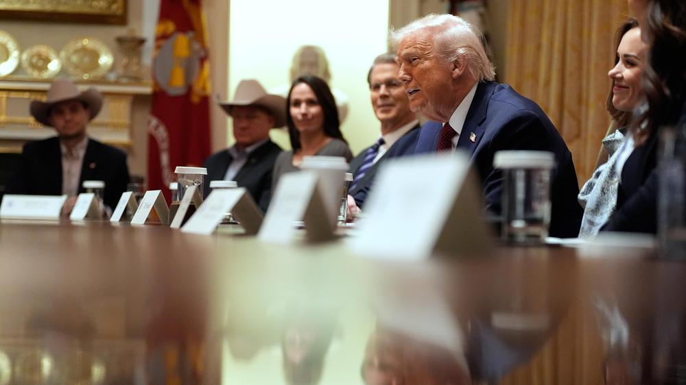  US-Präsident Donald Trump hat während eines Gesprächs im Kabinettssaal des Weißen Hauses erneut die Europäische Union kritisiert.