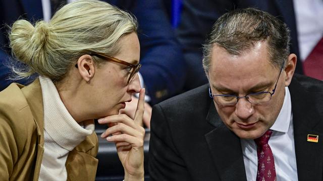 US-Republikaner: Jetzt wird Trump selbst der AfD suspekt