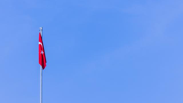 Türkei: Die Linke meldet Festnahme deutscher Delegation in der Türkei