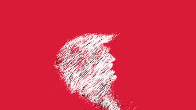 (+) Donald Trump : Was er gesagt hat und was daraus geworden ist