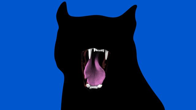 (+) Europäische Außenpolitik: Europa hat seine Angst verloren