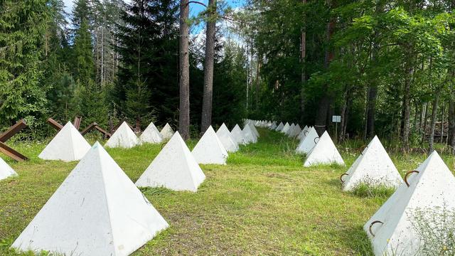 Verteidigung: Nato will an Grenze zu Russland 