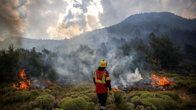 Feuerkatastrophe in Argentinien: Kritik an Präsident Javier Milei wächst wegen Umgangs mit Waldbränden