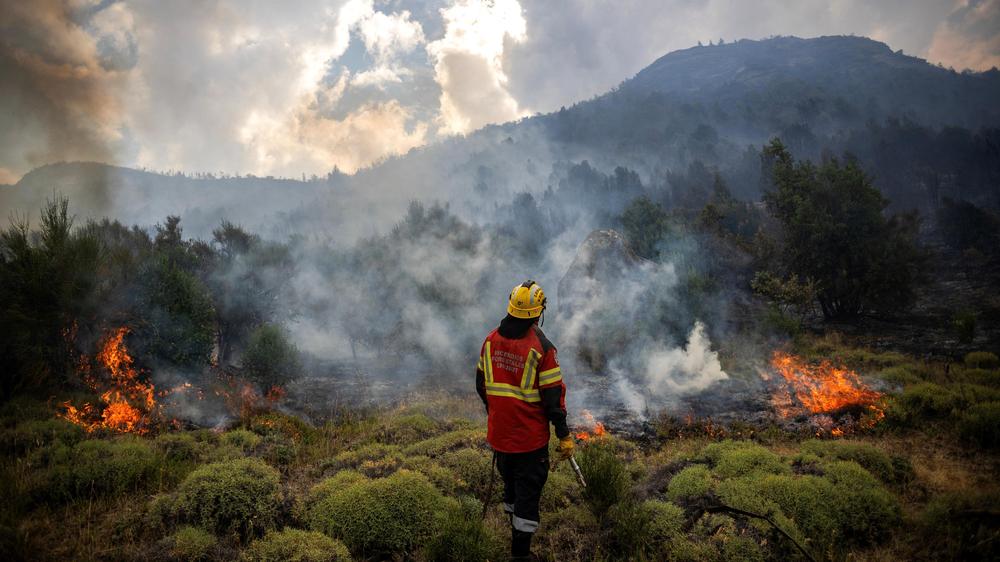  Argentiniens Präsident Javier Milei hat die Ausgaben für die nationale Feuerwehrbehörde 2024 um 80 Prozent im Vergleich zum Vorjahr reduziert.